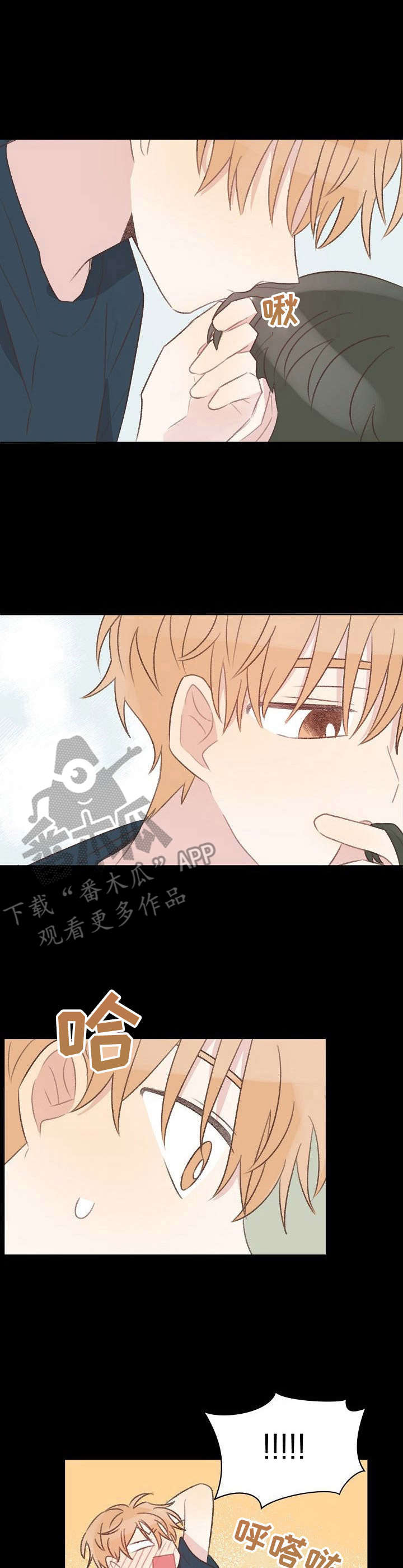 第26章：初心不变2