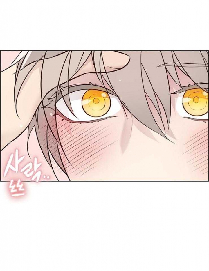 喜鹊报恩故事后续漫画,第19话5图