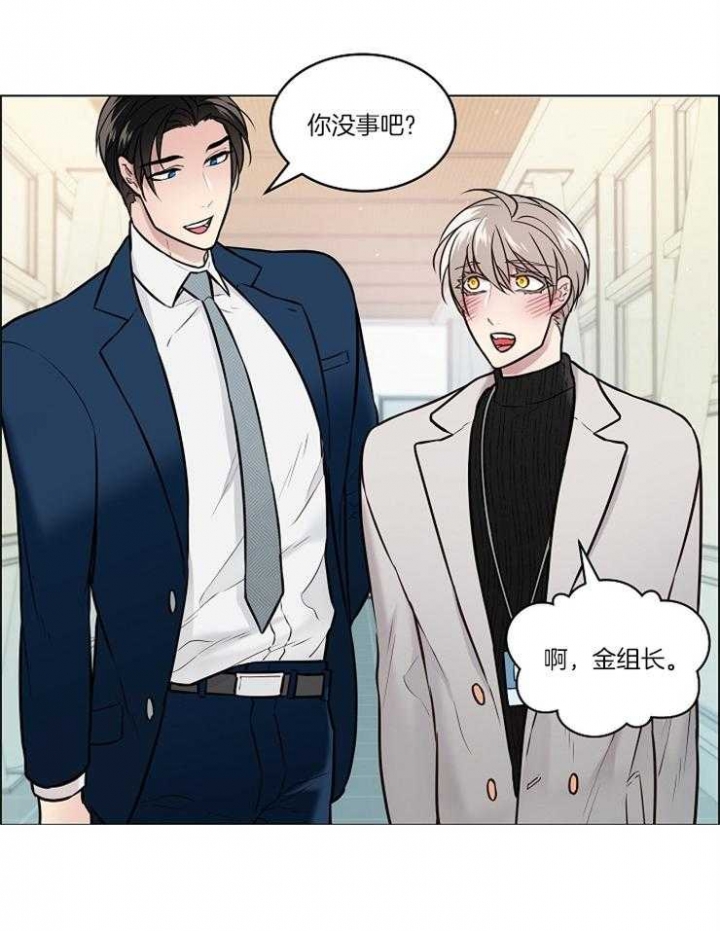 喜鹊报恩故事后续漫画,第19话4图