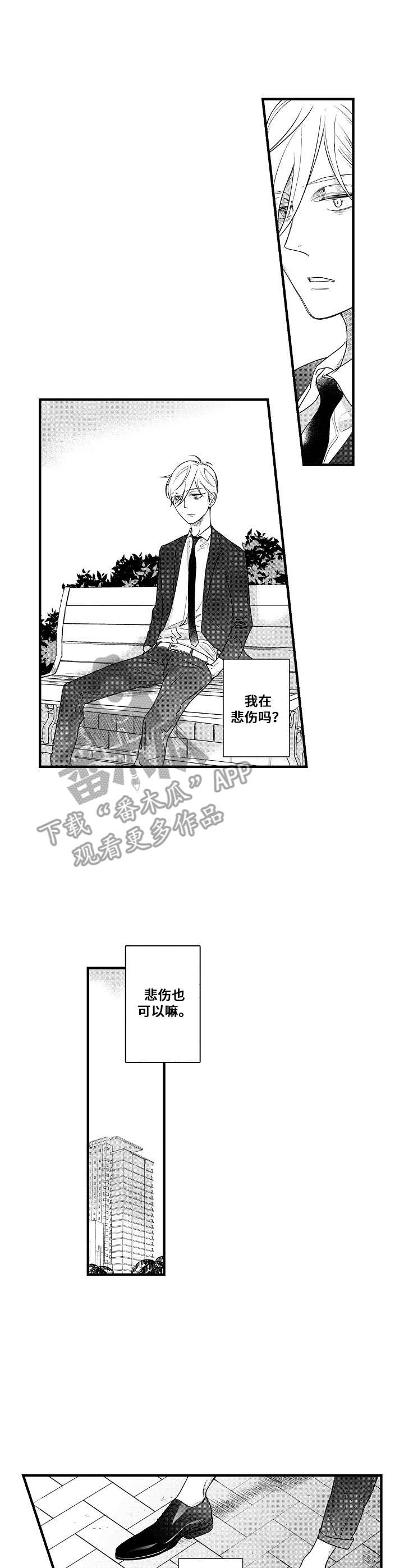 第15章：傻子一样0