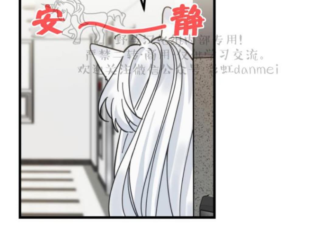 我的专属喵喵/我的专属猫咪漫画,第17话4图