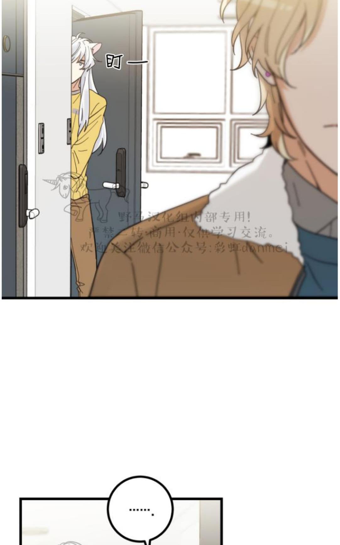 我的专属喵喵/我的专属猫咪漫画,第17话3图