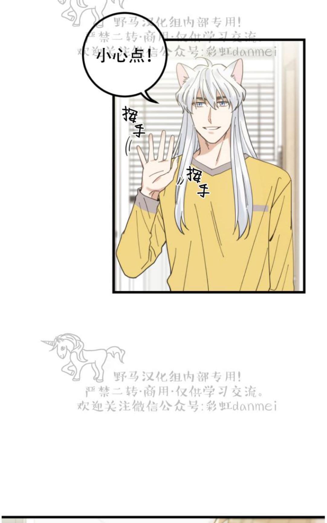 我的专属喵喵/我的专属猫咪漫画,第17话2图