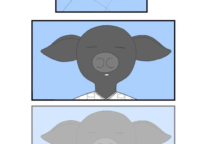 52