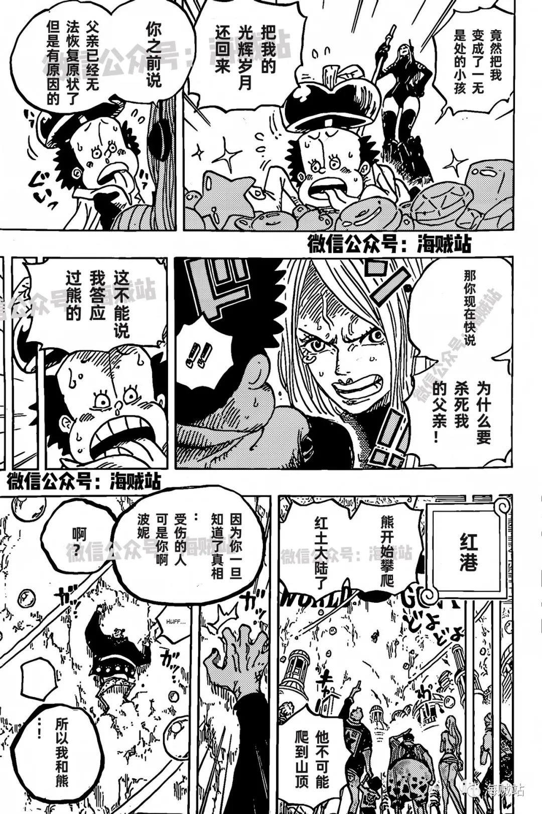 第1072话 记忆的重量4