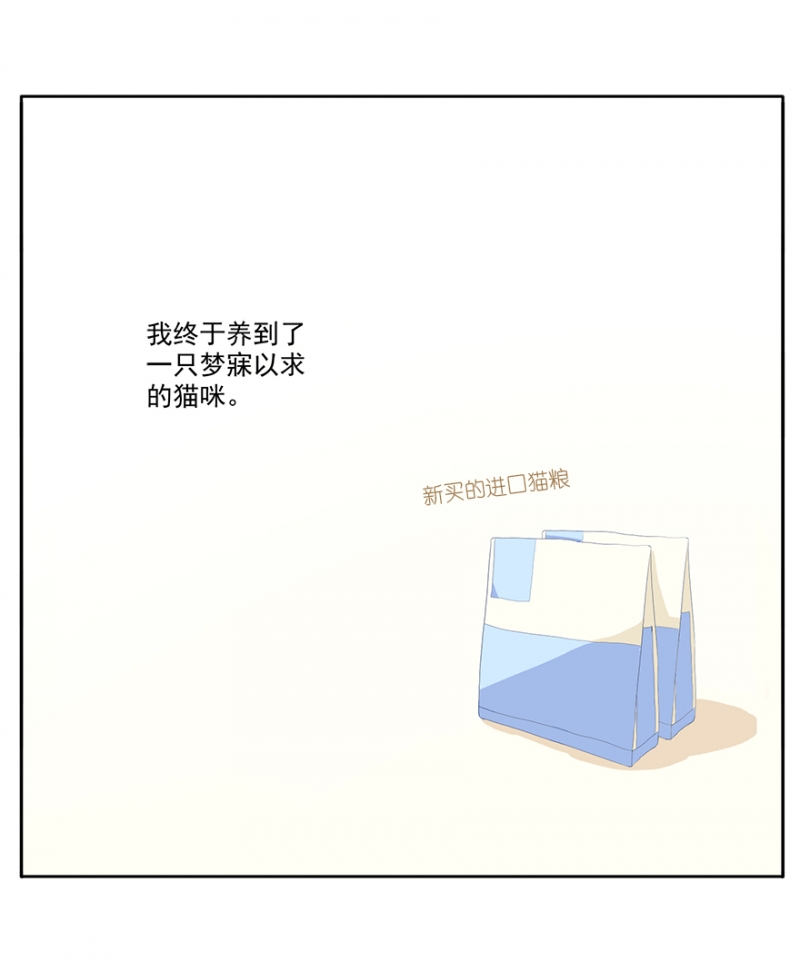 猫王子的新娘漫画免费下拉式六漫画漫画,第3话2图