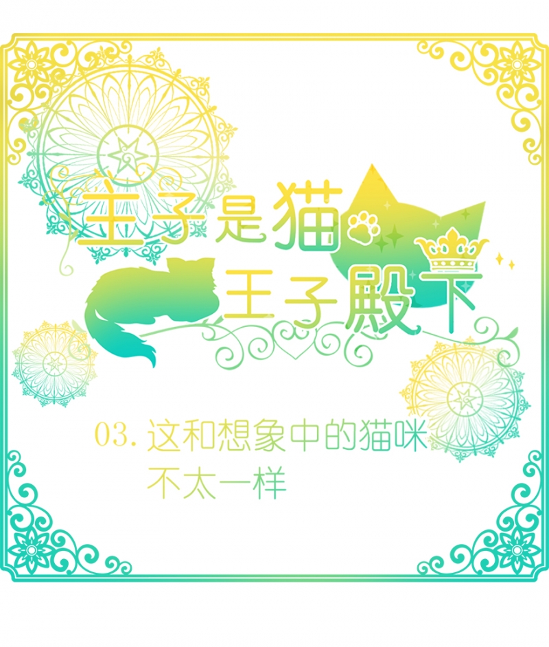 猫王子的新娘漫画免费下拉式六漫画漫画,第3话1图