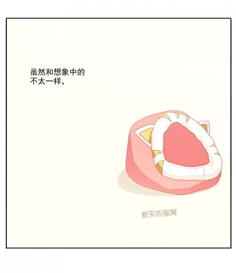 猫王子的新娘漫画免费下拉式六漫画漫画,第3话3图