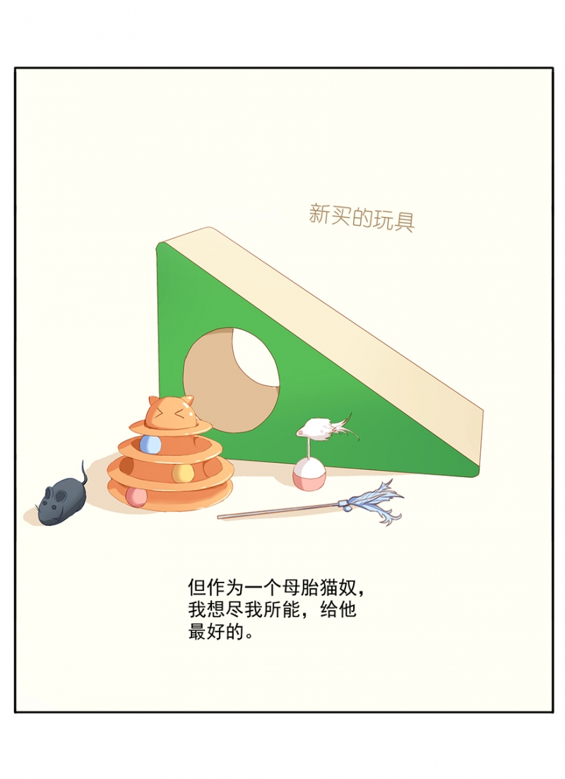 猫王子的新娘漫画免费下拉式六漫画漫画,第3话4图