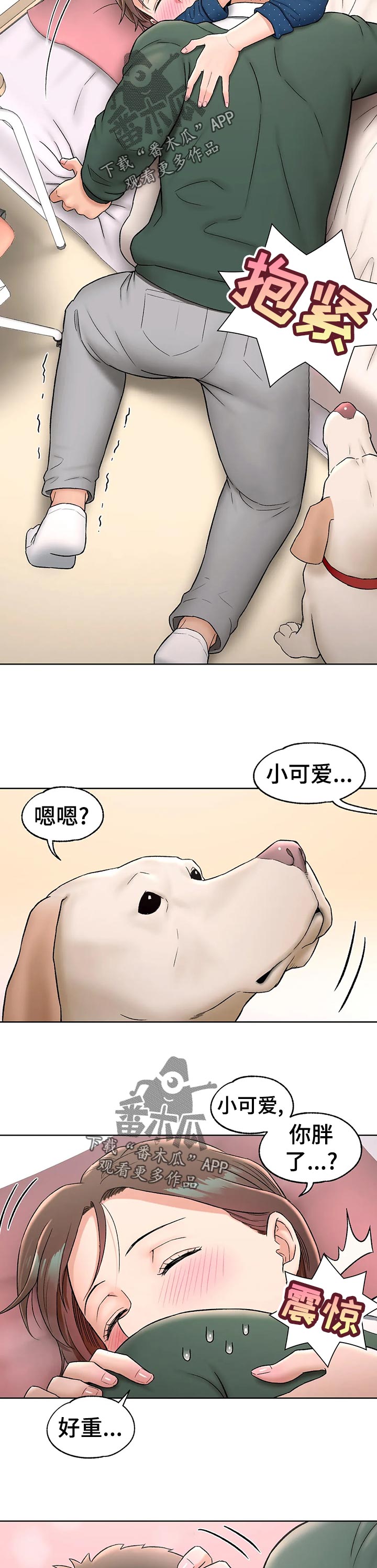 第66章：看错2