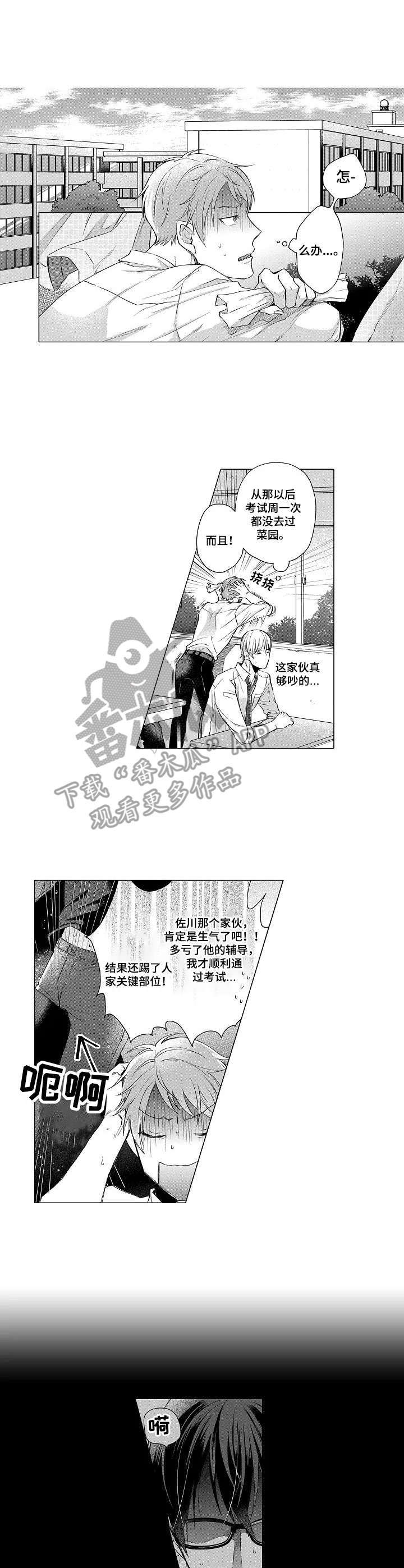 凌乱的菜园漫画,第12章：嫉妒1图