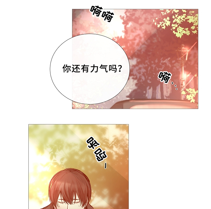 冷温棚草莓整箱批发漫画,第67话2图