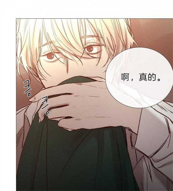 冷温棚草莓整箱批发漫画,第88话5图