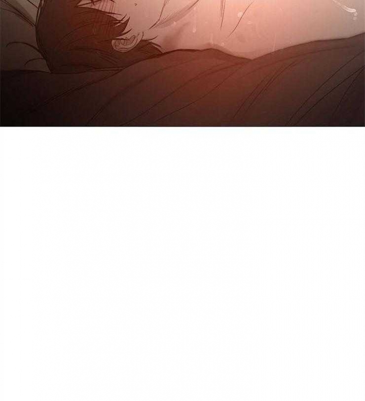 冷温棚草莓整箱批发漫画,第88话4图
