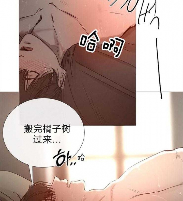 冷温棚草莓整箱批发漫画,第88话3图