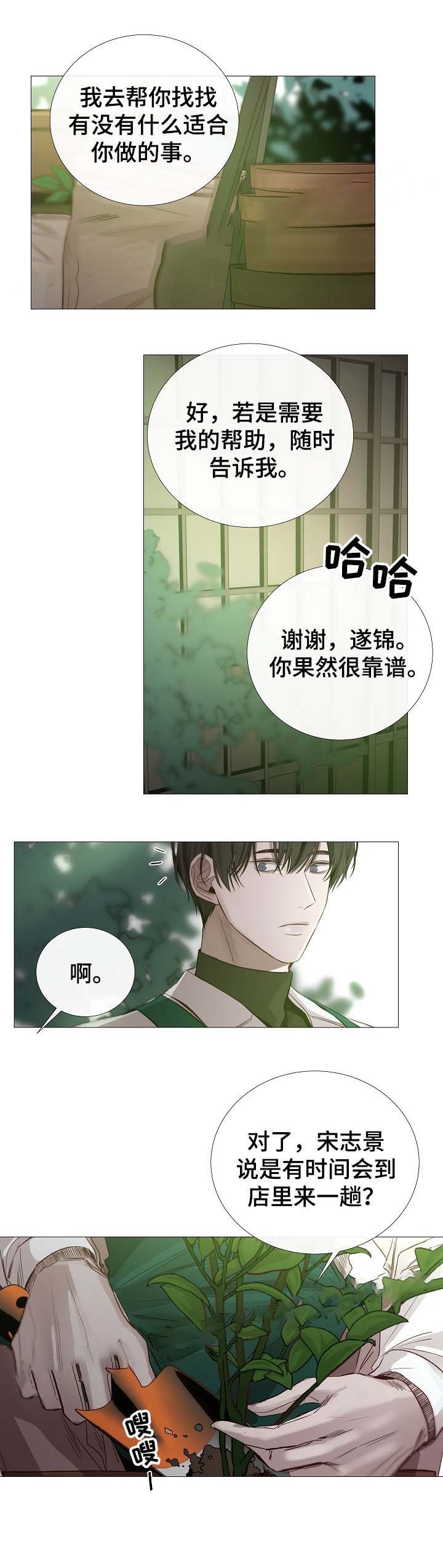冷温棚草莓整箱批发漫画,第63话3图