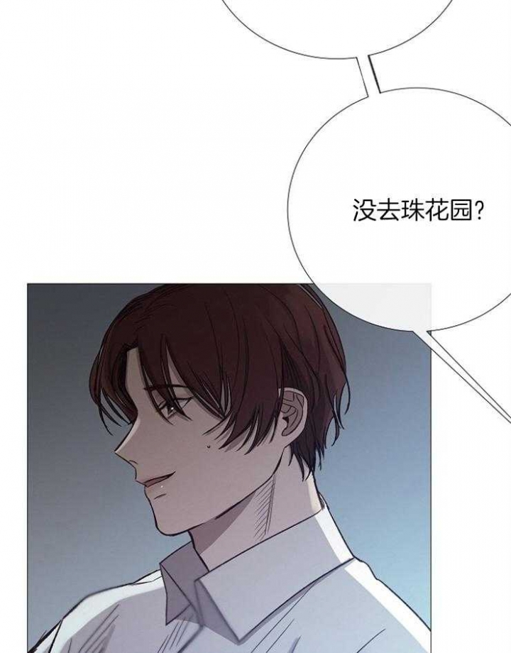 冷温棚草莓整箱批发漫画,第97话4图