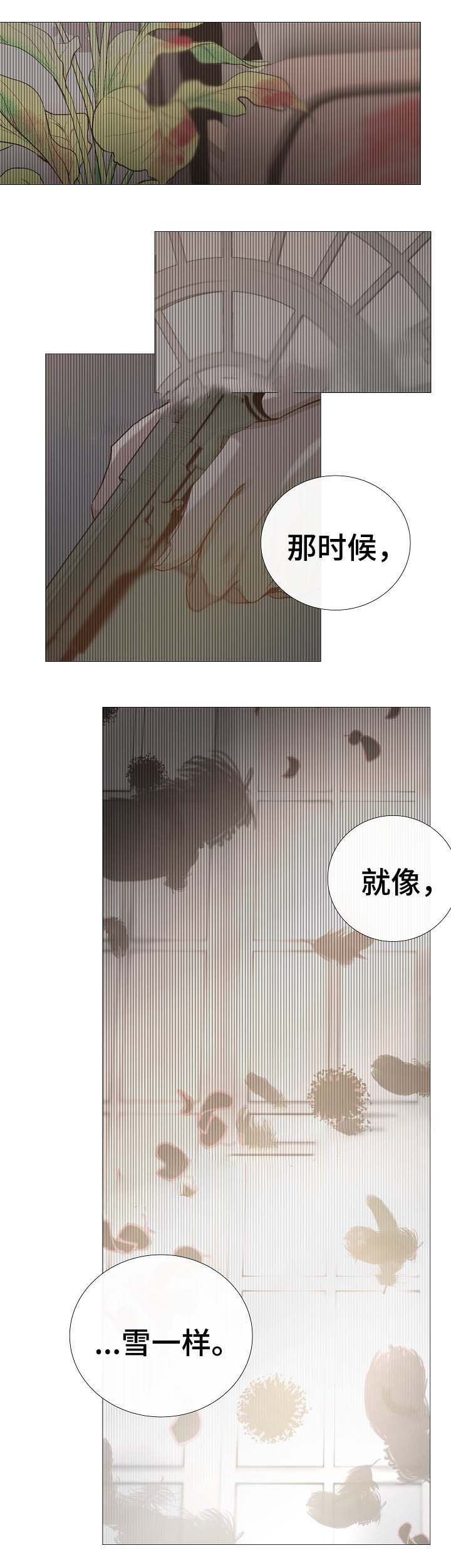 冷温棚草莓整箱批发漫画,第66话2图