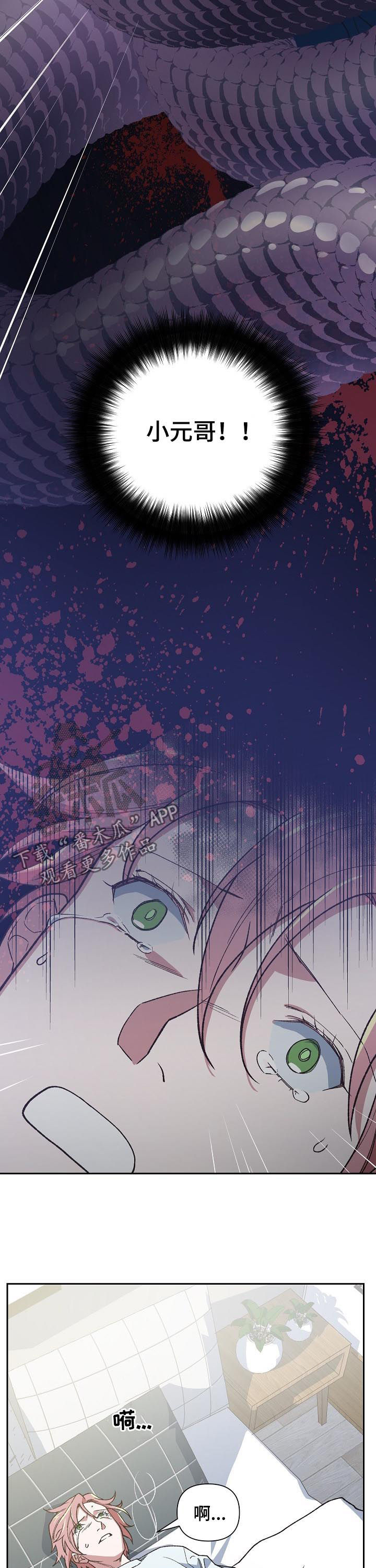 祖灵之王掉落漫画,第60章：感觉3图