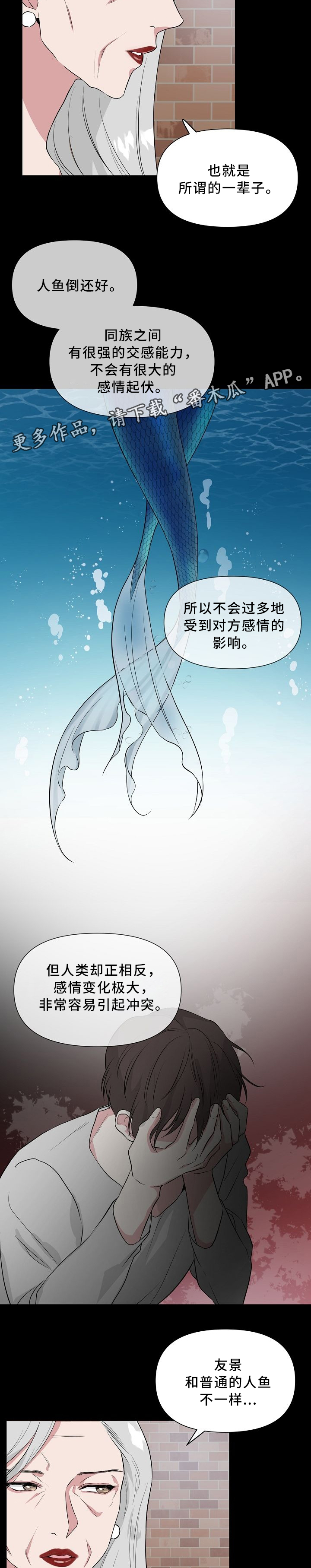 第35章：标记4