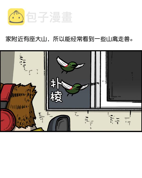 心灵的声音动画op漫画,[第1224话] 不认识的鸟3图