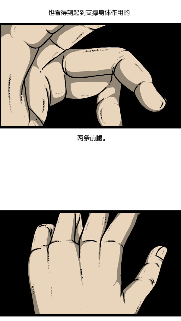 最快更新的心灵的声音漫画漫画,[第903话] 神秘动物综述32图