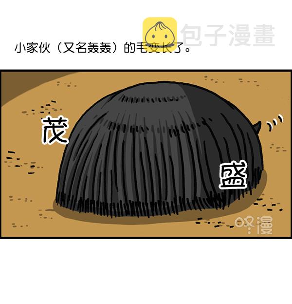 心灵的声音动画op漫画,[第1174话] 假发冒险记2图