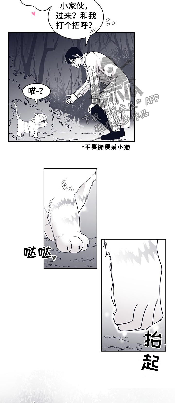 第80章：怀孕？3