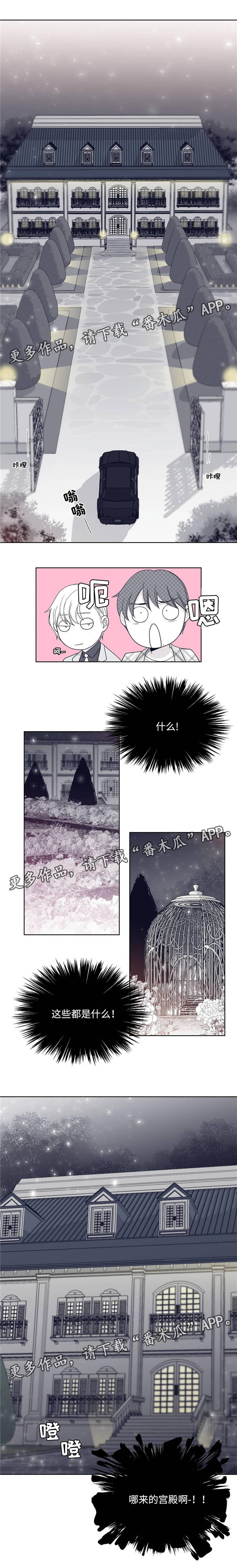 第27章：豪华别墅2