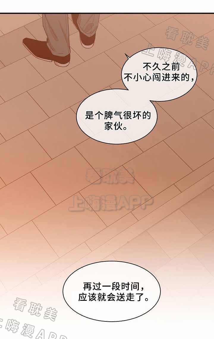 圈套器漫画,第23话4图