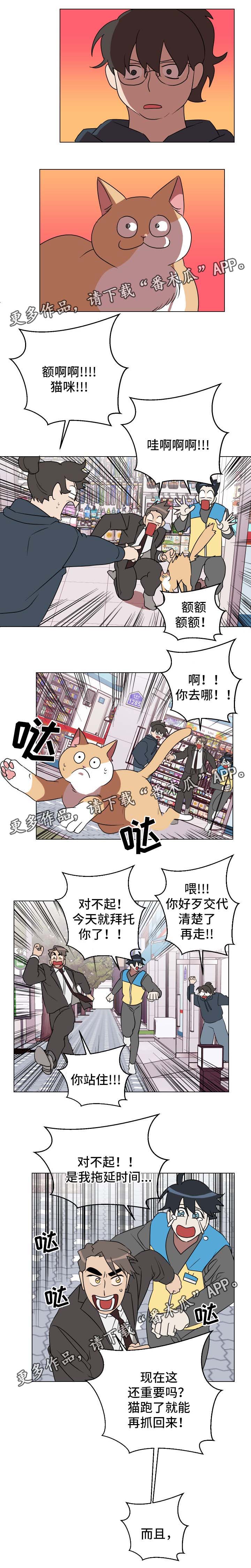 年下小狼狗txt在线阅读漫画,第31章：有意思5图