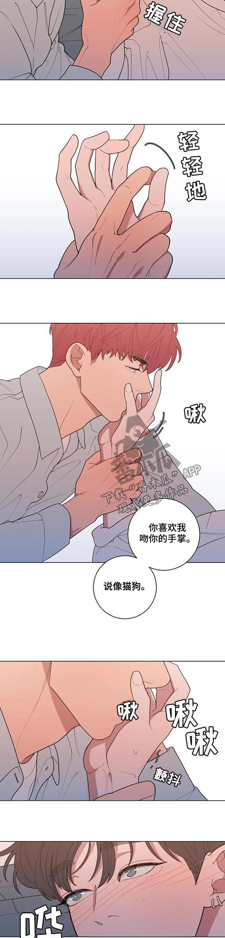 读后感生成器漫画,第186章：喜好5图
