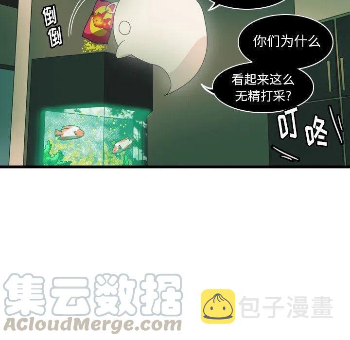 nova12参数配置详细漫画,35图