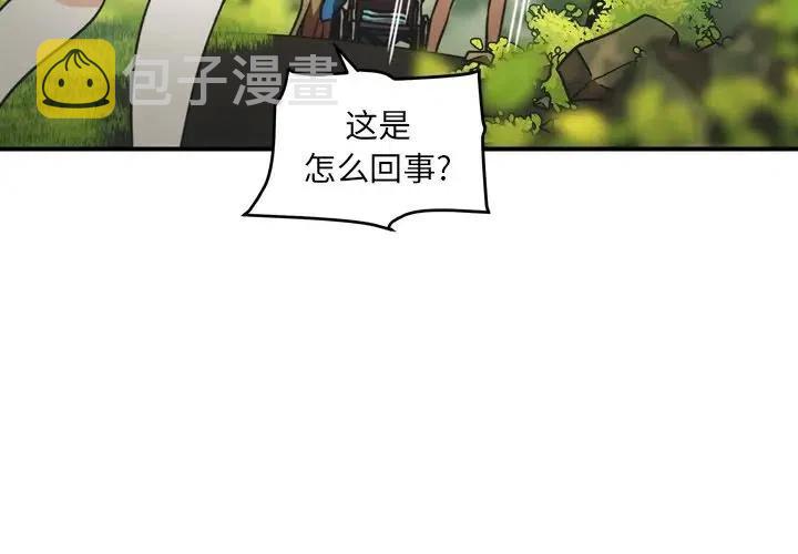 nova13参数漫画,333图