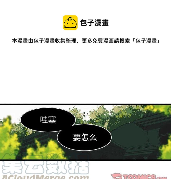 nova12参数配置详细漫画,31图