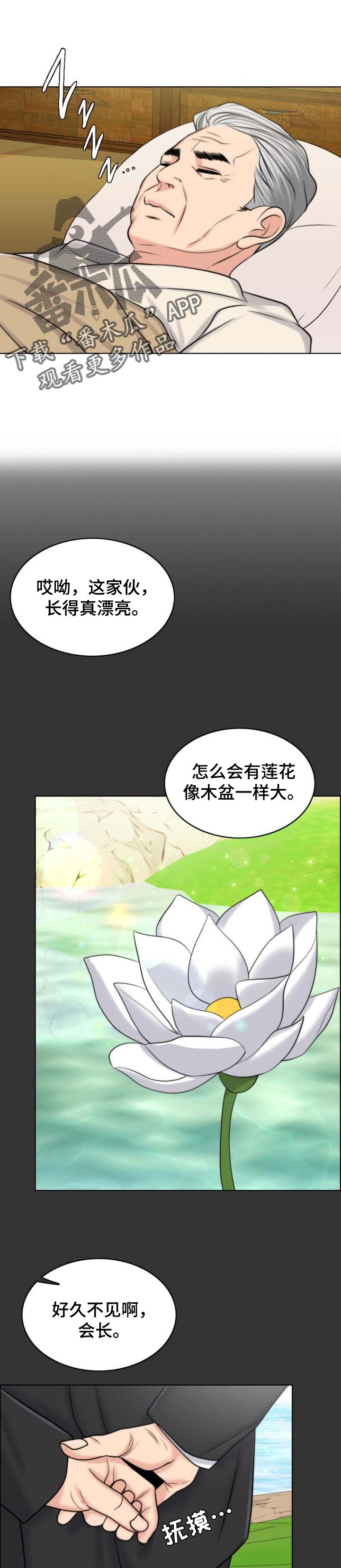 限时婚姻txt漫画,第64章：出淤泥而不染1图