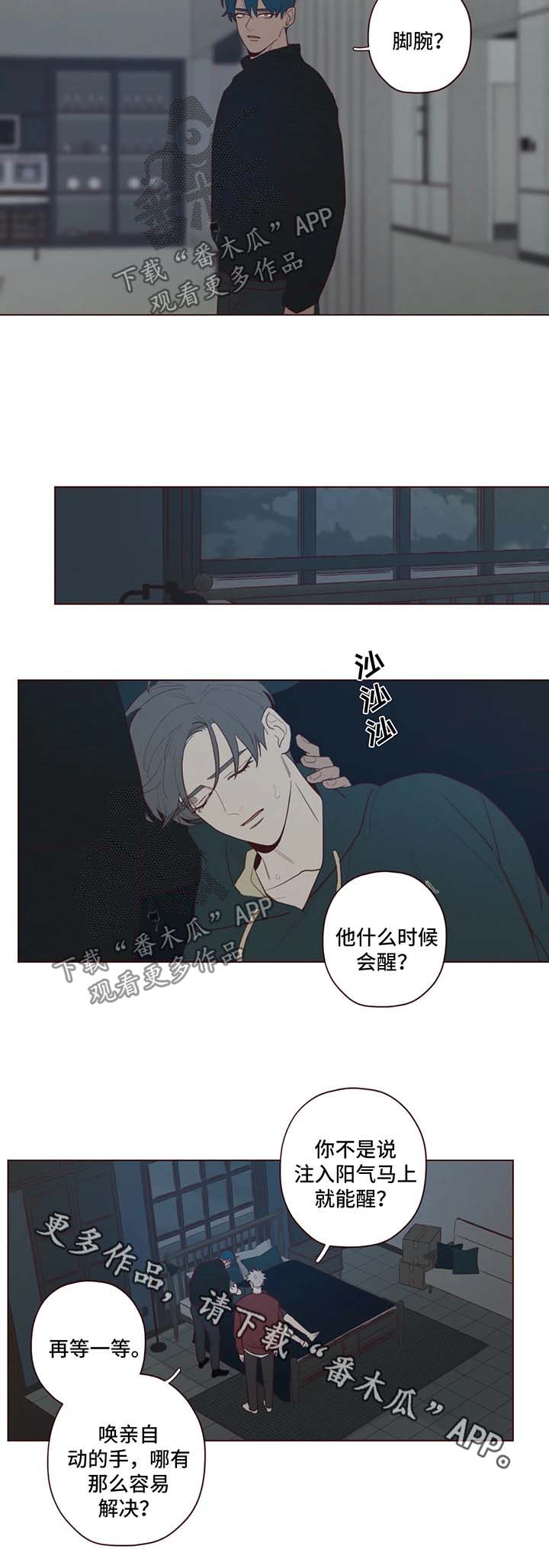 第53章：记忆的特权4