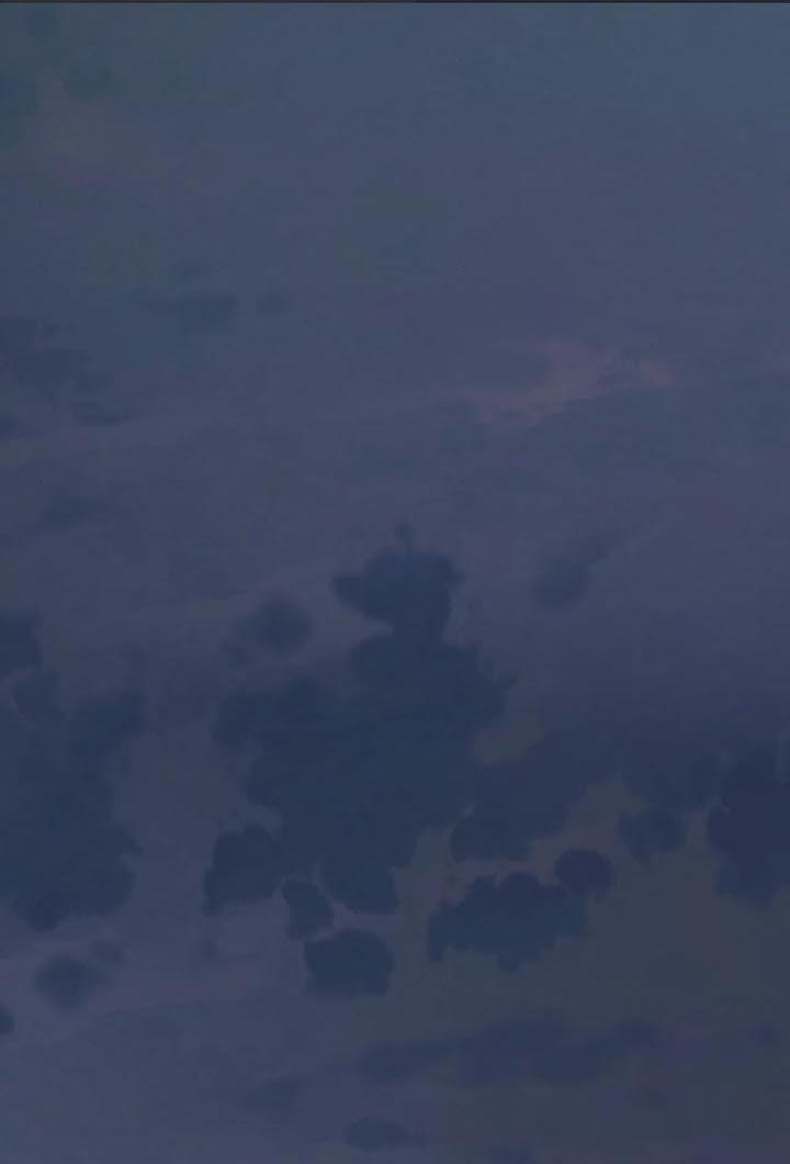 第61章：是时候行动了0