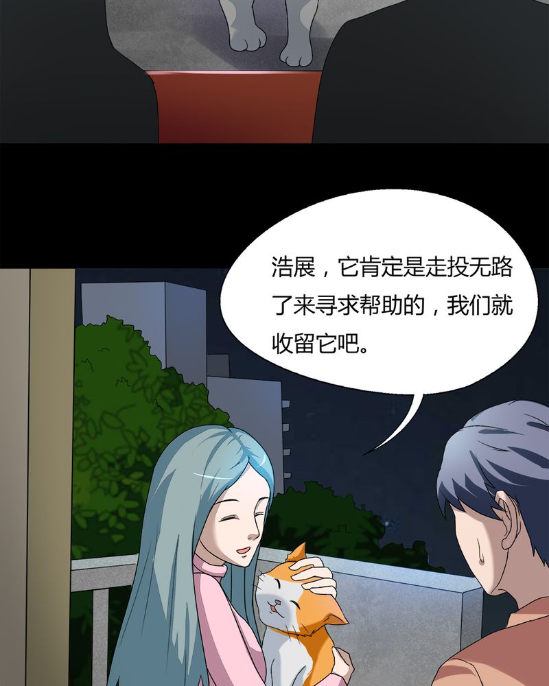 第68章：茹猫饮血（上）4