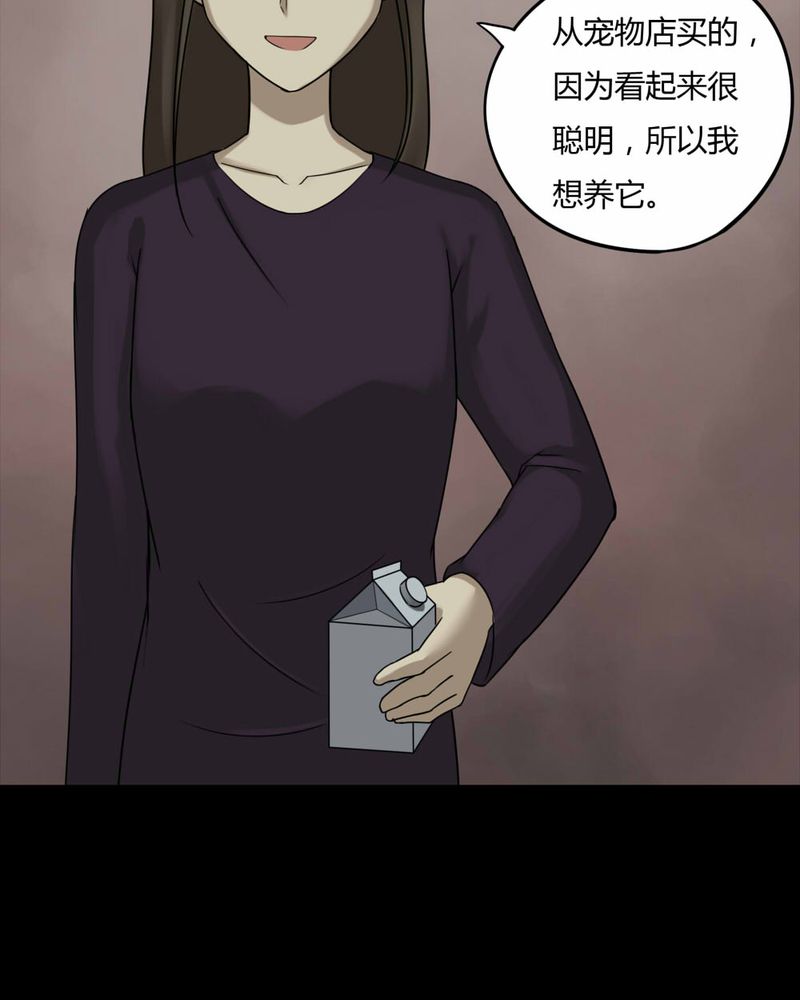 诡中有诡漫画,第84章：猴知猴觉（上）4图