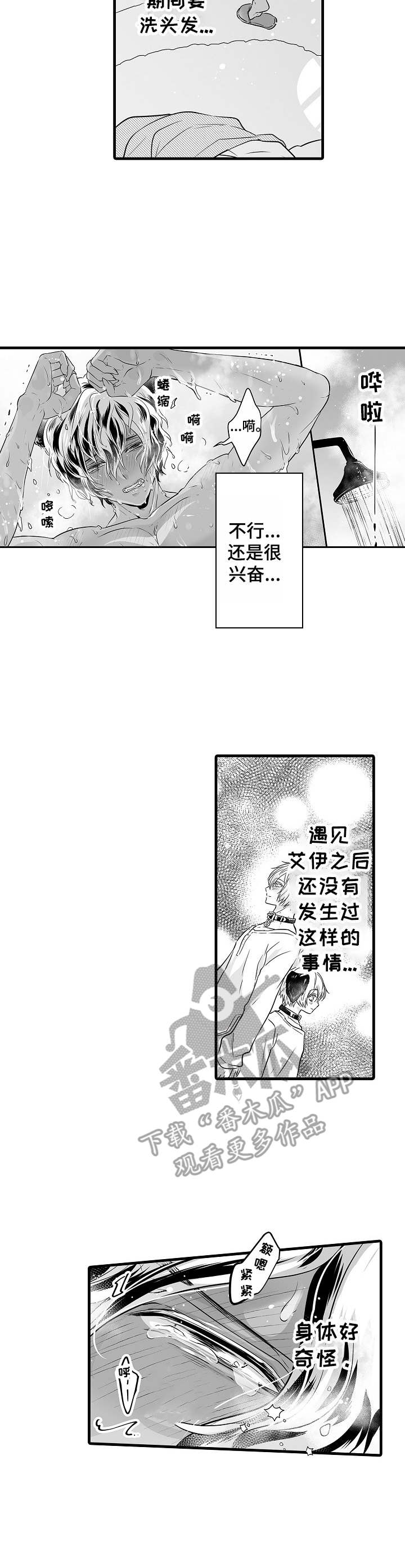 森林中的熊漫画,第7章：发狂4图