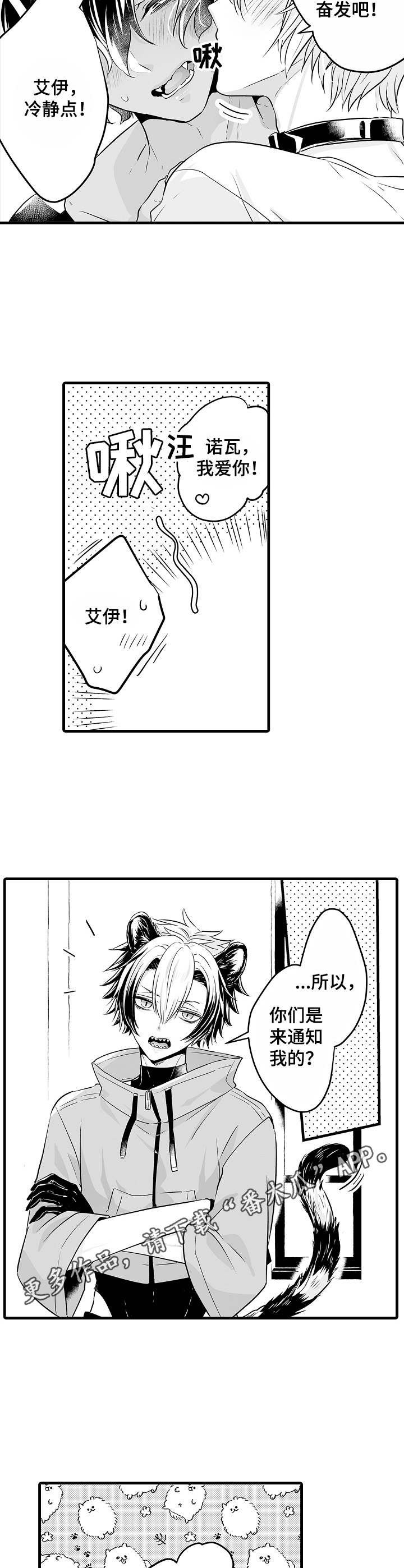 森林中的熊漫画,第11章：操心5图