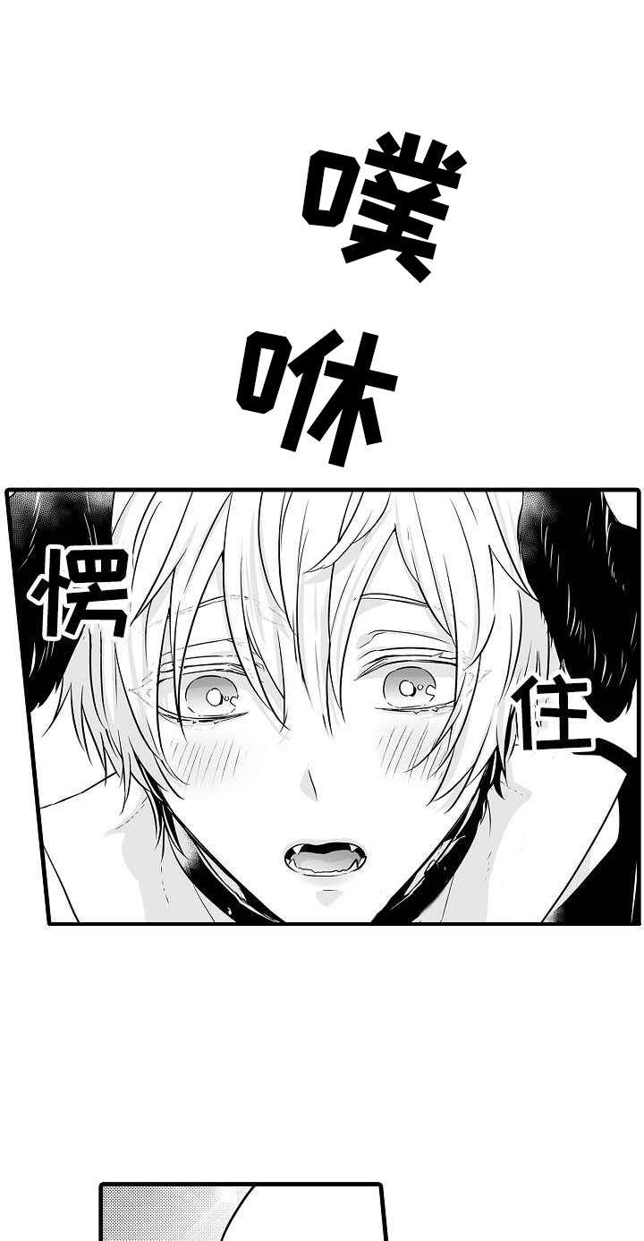 森林中的熊先生动漫在线漫画,第14章：无法拒绝1图