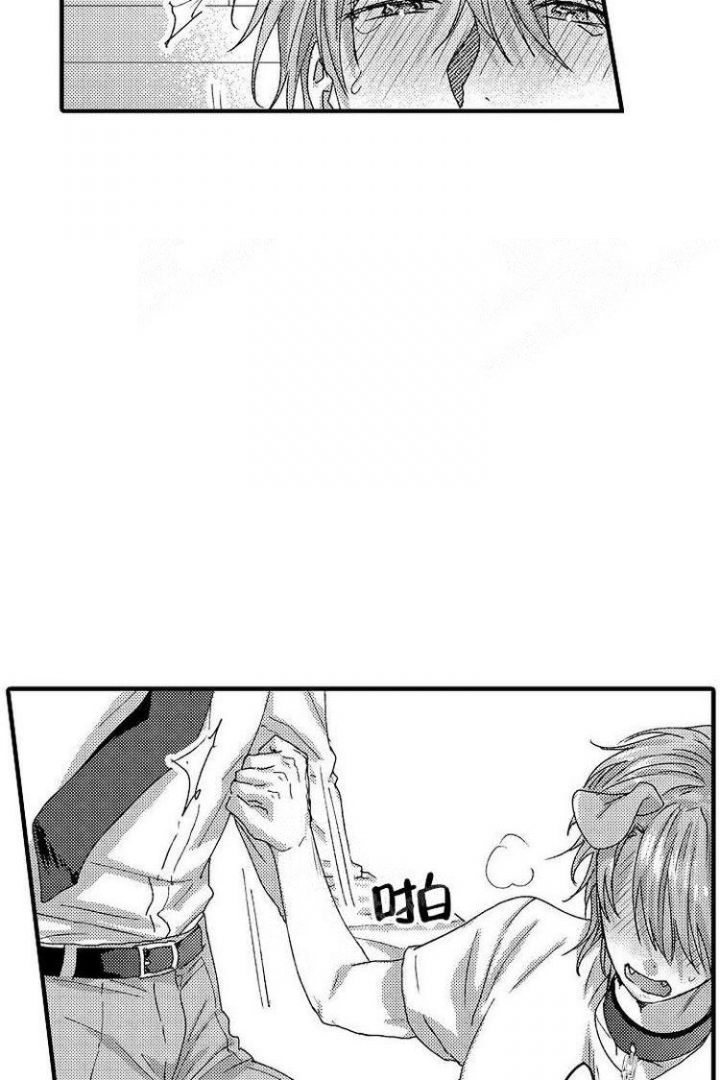 小野狗需要驱虫吗漫画,第17话4图
