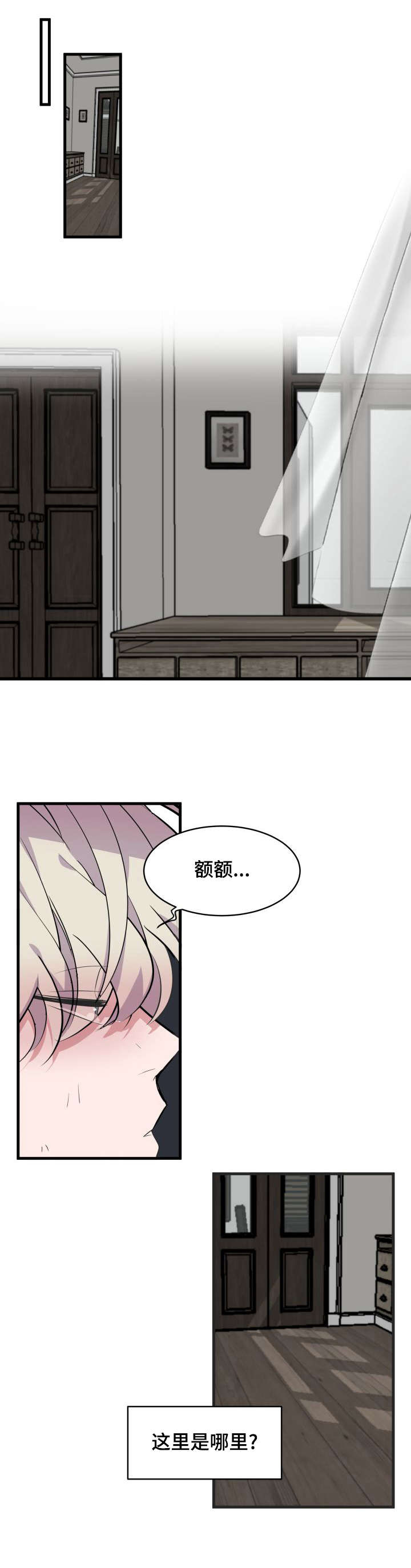 第13章：带回家3