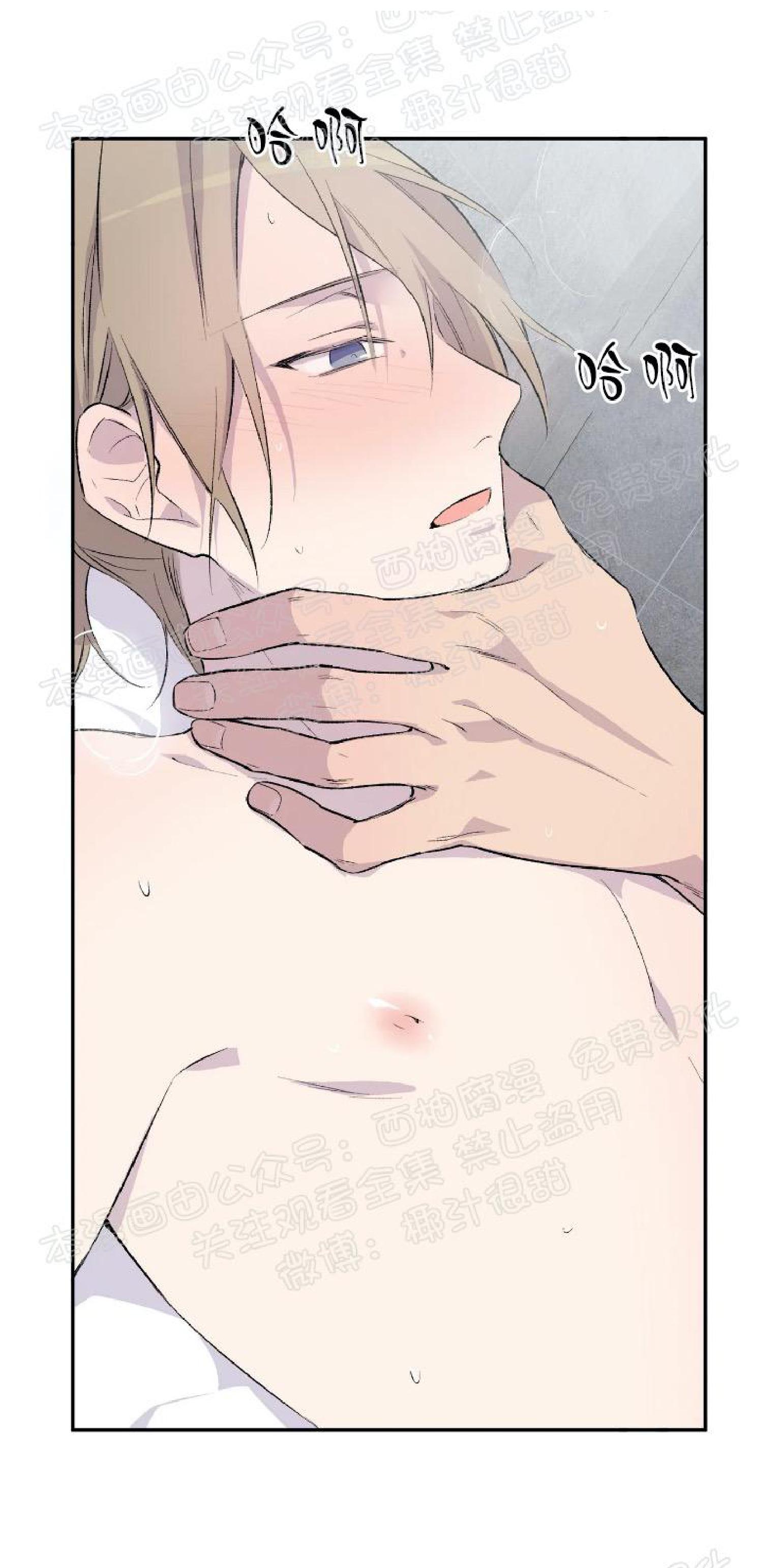 请停笔吧作家漫画,第2话1图