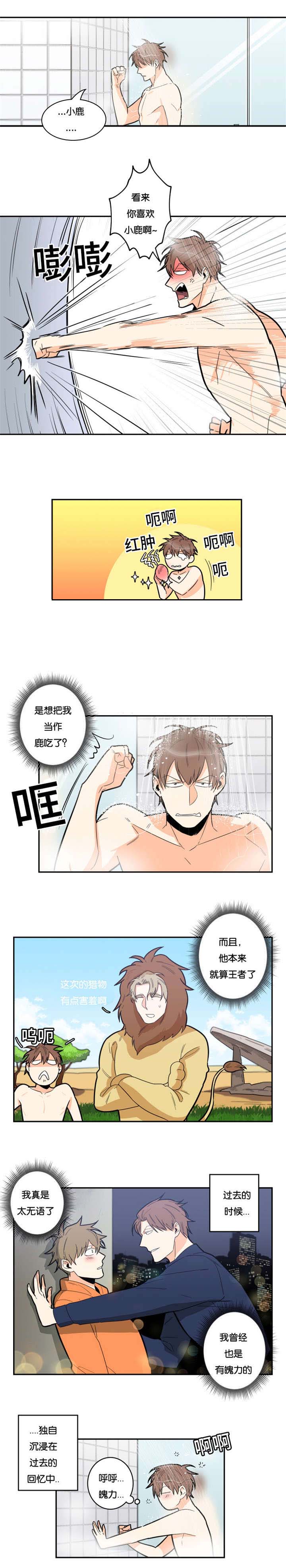 第16章：主导地位2
