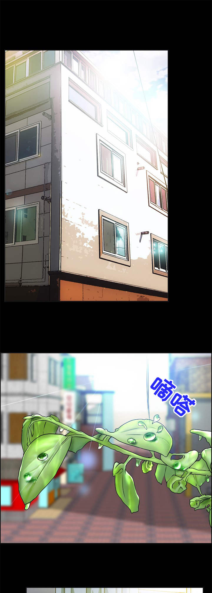 第13章：互换1