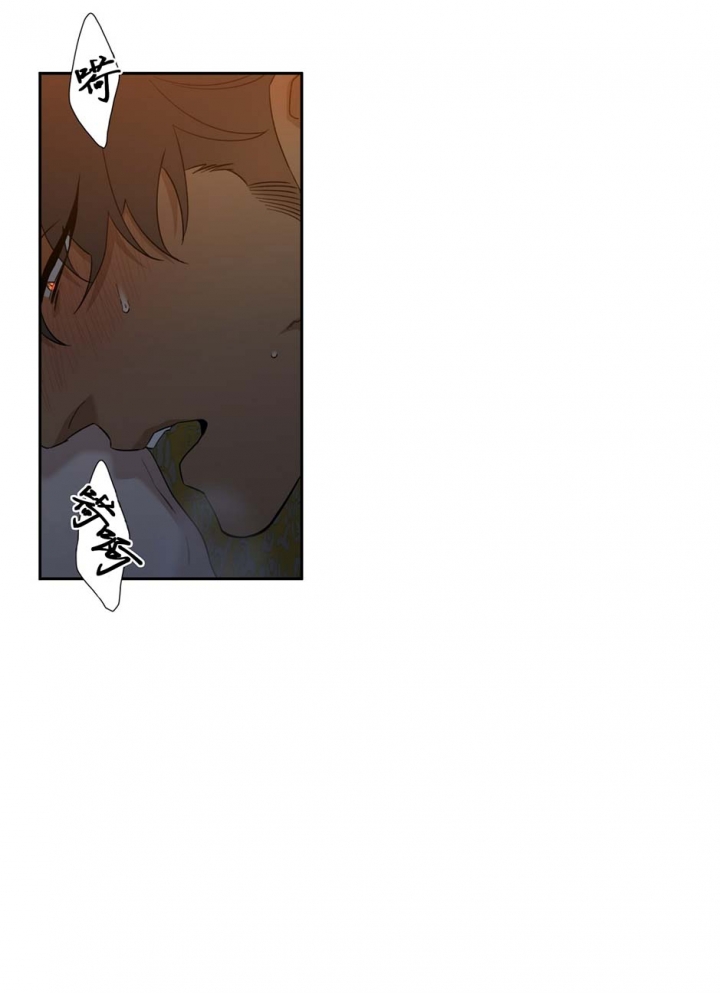 被驯服的虎漫画,第66话3图