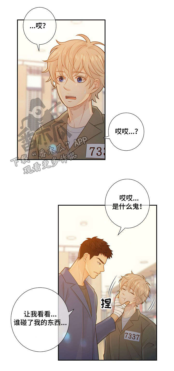 阿尔法监狱漫画,第53章：回房1图